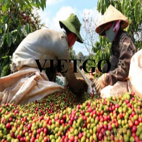 [Gặp gỡ thứ Tư] 'Cơ hội vàng để xuất khẩu cà phê Việt Nam lên số 1 thế giới'