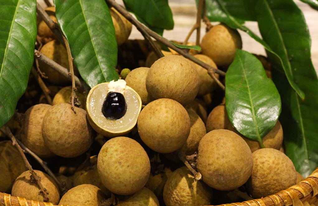 Hung Yen Longan: A Symphony of Pure Sweetness and Heritage