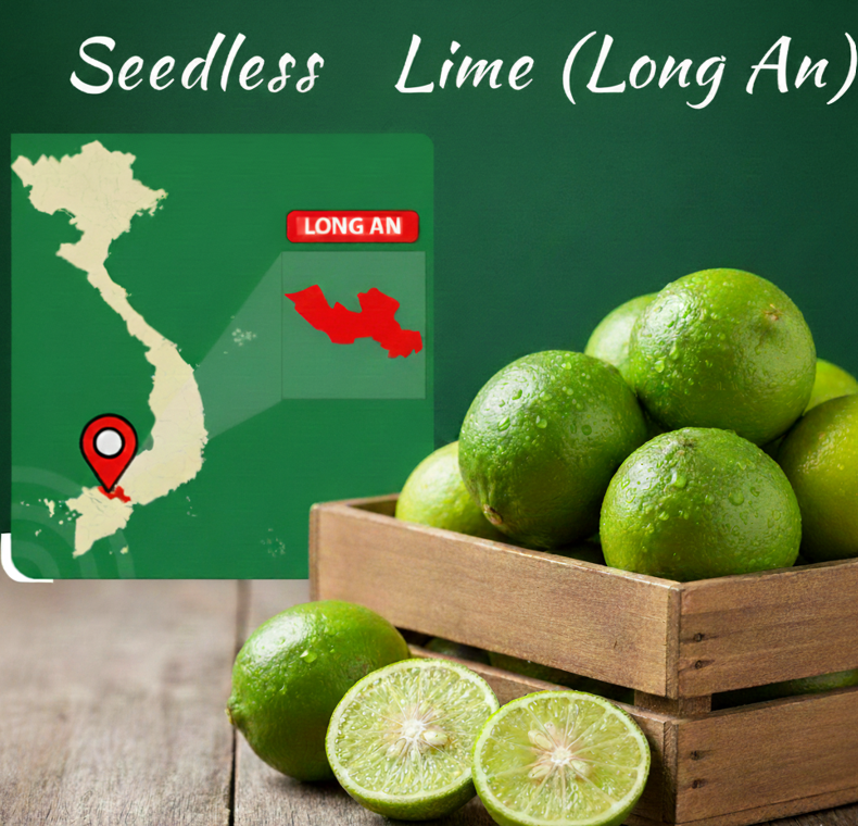 Long An Seedless Limes: The Optimal Choice for Importers Seeking Premium Quality