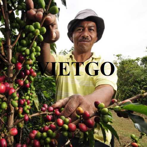 Mỹ áp thuế với cà phê Brazil: Cơ hội cho cà phê Việt Nam