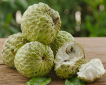 Tay Ninh Custard Apple: A Sweet Treasure from the Foothills of Ba Den Mountain