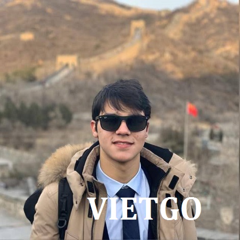 xuat-khau-go-bach-dan-vietgo