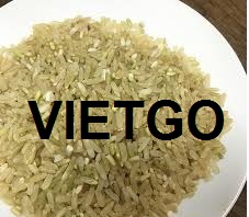 Vietgo-xuat-khau-gạo lứt- Togo