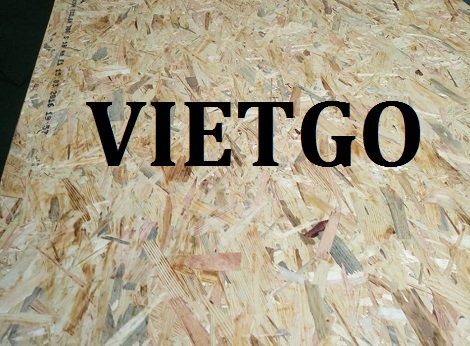 Ván dăm Vietgo