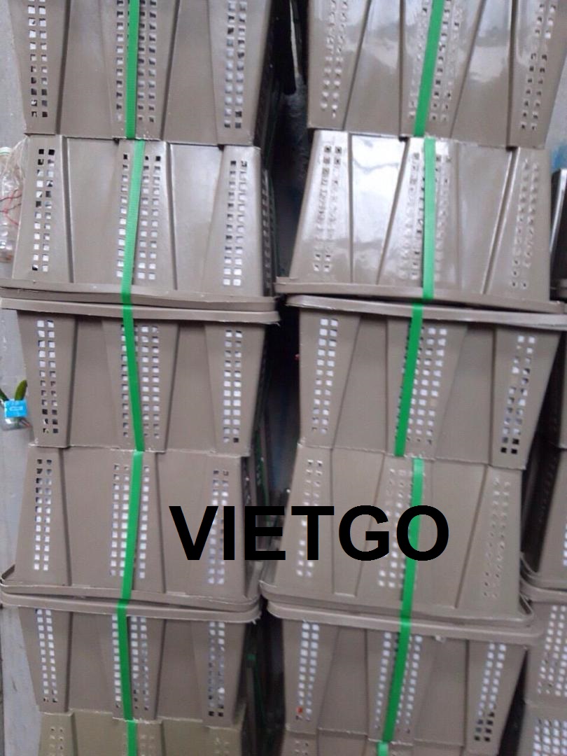 ảnh ớt xuất khẩu 