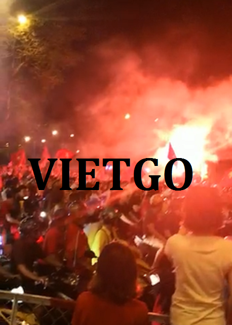 Áo Polo Vietgo