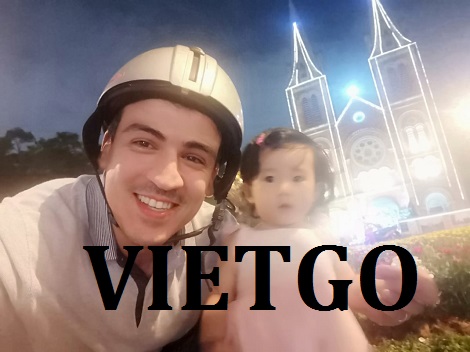 Áo Polo Vietgo
