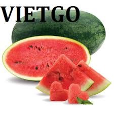 Vietgo-xuat-khau-dưa hấu-Dubai