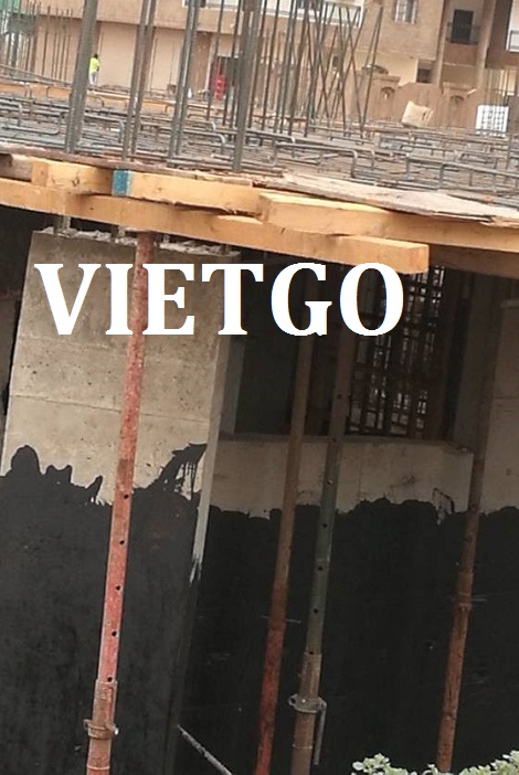 Gỗ dán phủ phim Vietgo