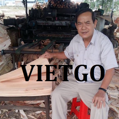Ván bóc Vietgo