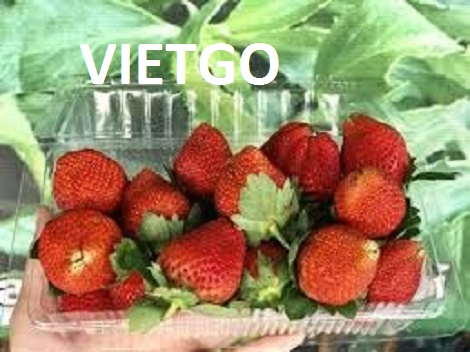Dâu tây tươi Vietgo