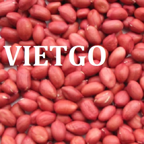 Lạc Vietgo
