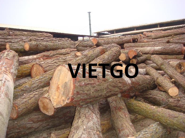 Gỗ Thông Gỗ Tròn Vietgo