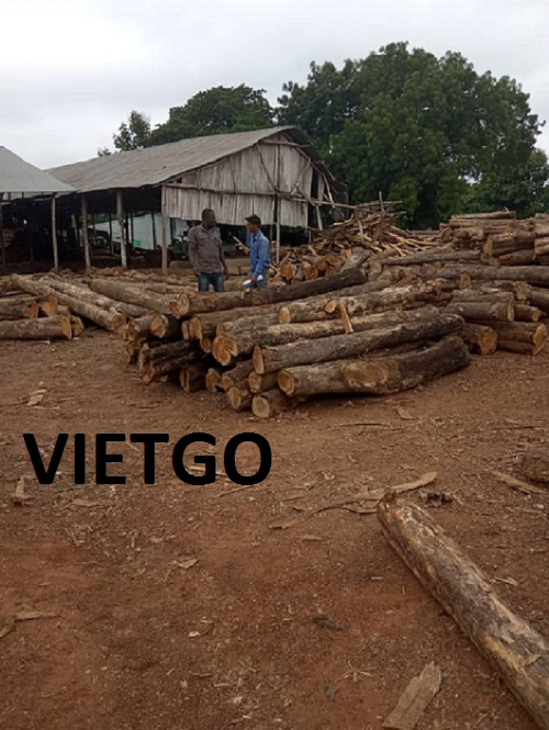 Gỗ Teak tròn Vietgo Gỗ Teak tròn Vietgo