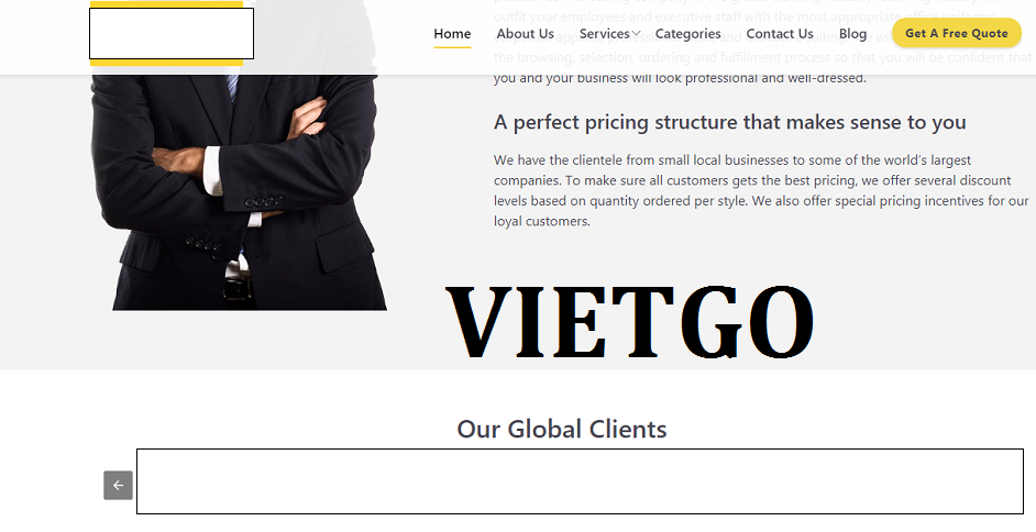 Áo Polo Vietgo