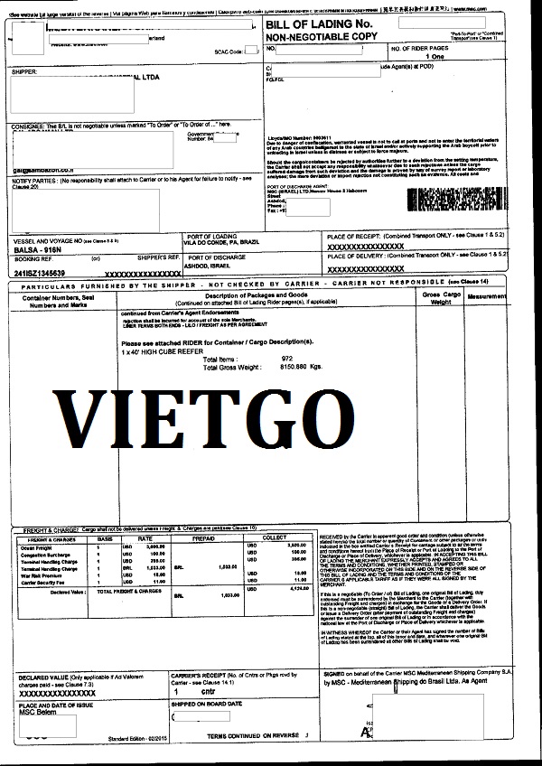 Gậy tre Vietgo