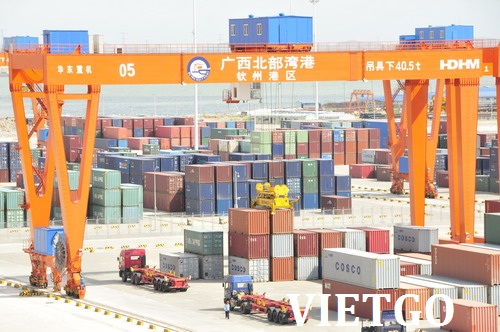 điều thô việt nam