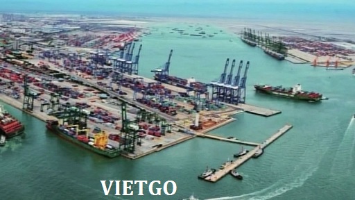 gạo việt nam