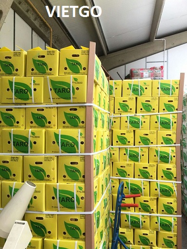 gừng việt nam xuất khẩu