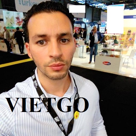 3-viet-go-tomca