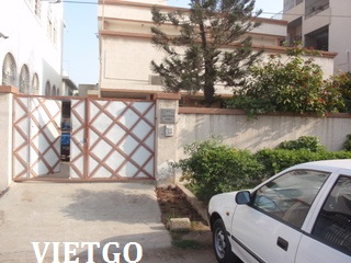 gạo việt nam