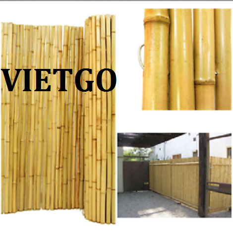 Gay-tre-VIETGO