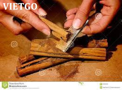 quế việt nam xuất khẩu