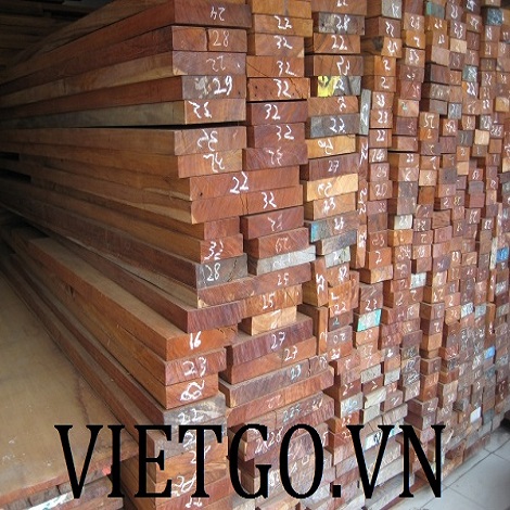 go-cam-xe-vietgo-xk go-cam-xe-vietgo-xk