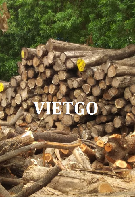 xuat-khau-go-teak-vietgo xuat-khau-go-teak-vietgo