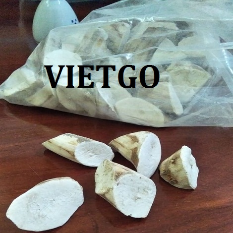 San-lat-VIETGO San-lat-VIETGO