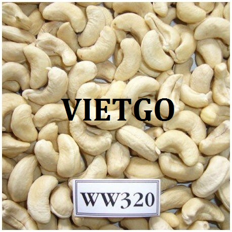 VIETGO-xuat-khau-hat-dieu-Iran