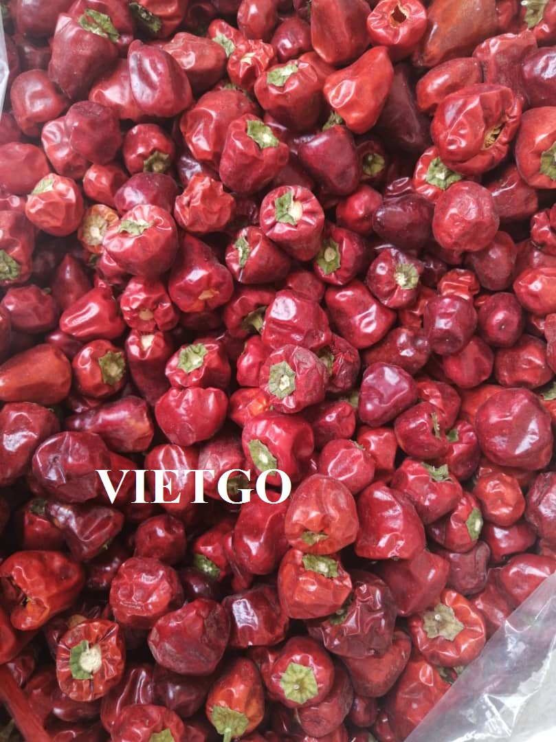 Ớt Vietgo Ớt Vietgo