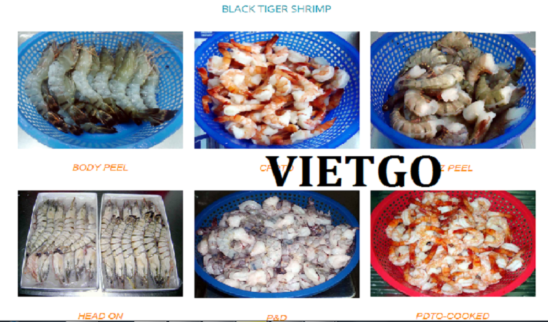 Ca-tra-phi-le-VIETGO
