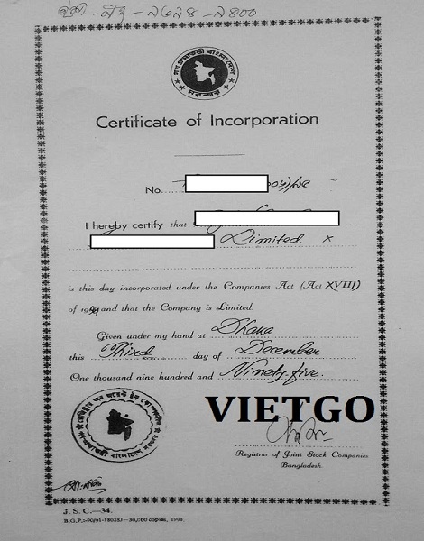 Ca-tra-phi-le-VIETGO