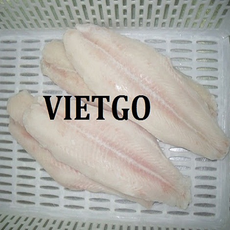 Ca-tra-phi-le-VIETGO