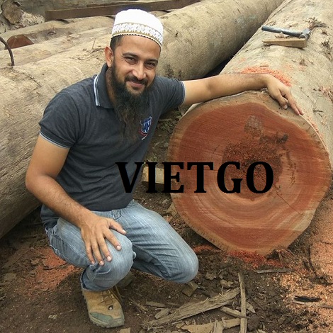 go-dan-xuat-khau-vietgo