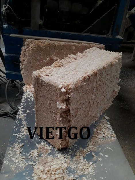 vo-bao-vietgo