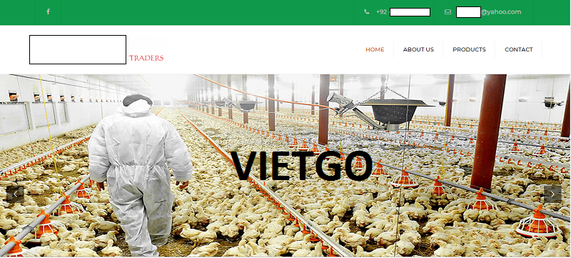 Đá Marble Vietgo