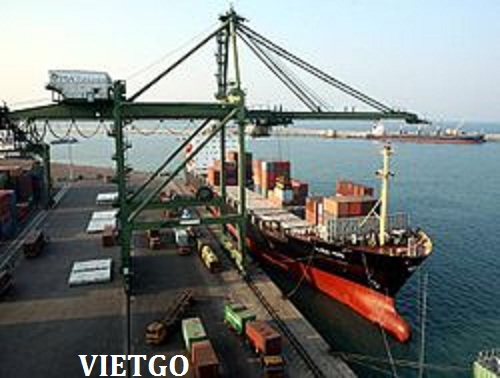 hạt điều việt nam