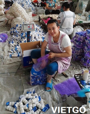 tỏi việt nam xuất khẩu