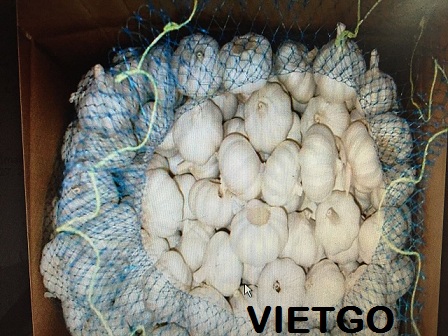 tỏi trắng