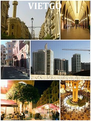 hạt điều việt nam