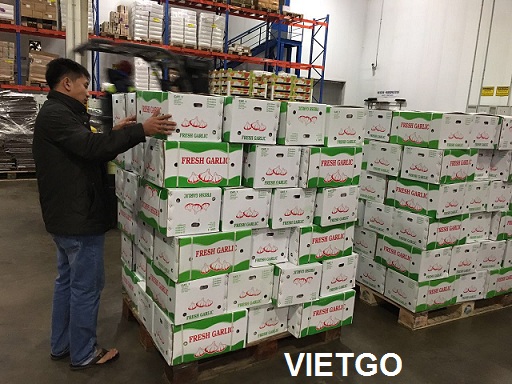 tỏi việt nam xuất khẩu