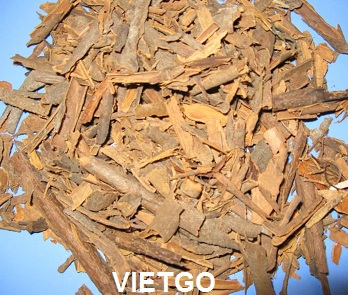 quế việt nam