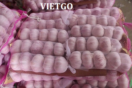 tỏi trắng việt nam xuất khẩu