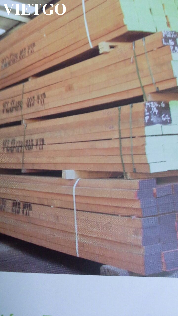 gỗ thông
