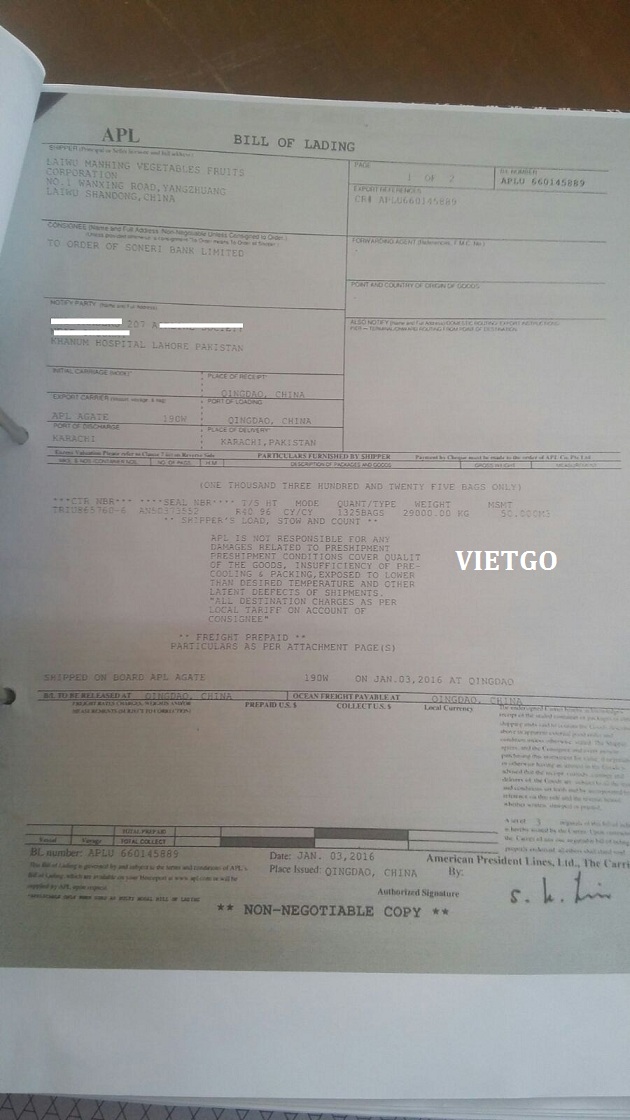 tỏi việt nam xuất khẩu