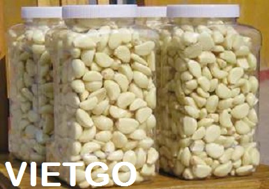 tỏi trắng tươi xuất khẩu