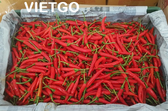 ớt
