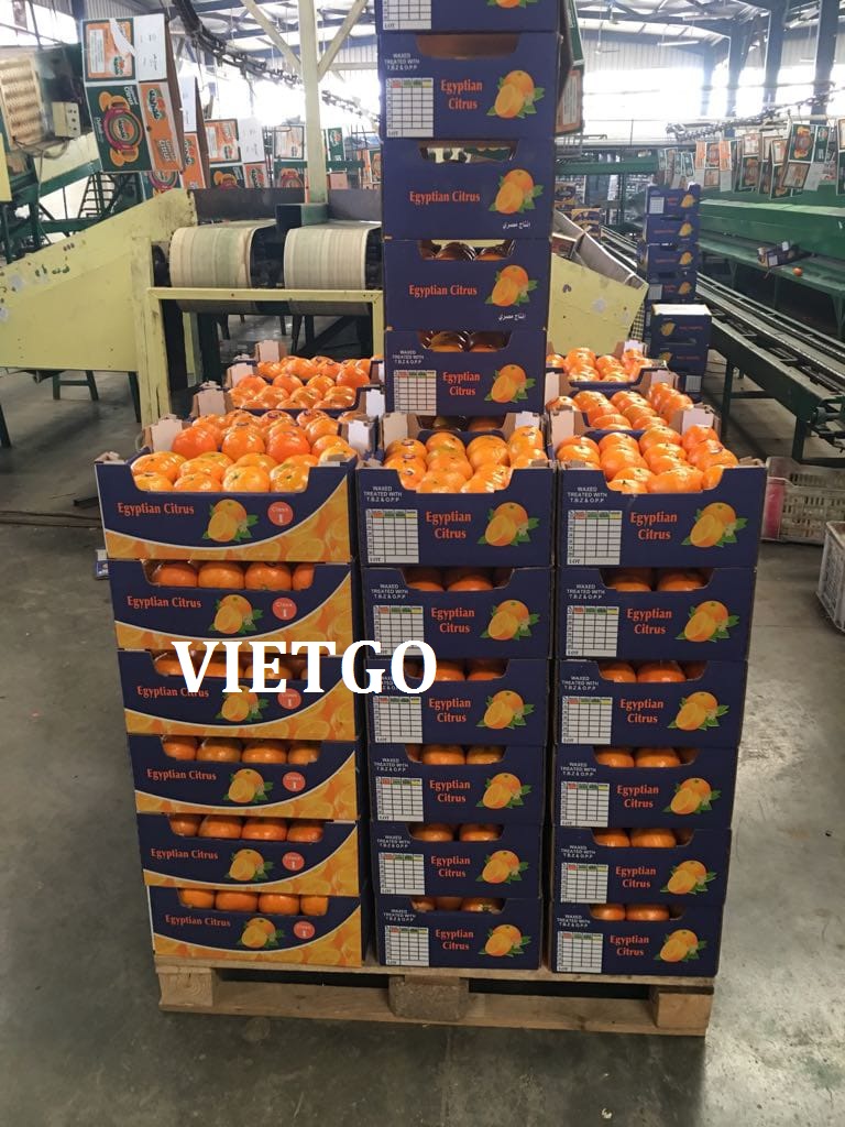 VIEGO-xuat-khau-dứa-khóm-Hy-Lạp VIEGO-xuat-khau-dứa-khóm-Hy-Lạp